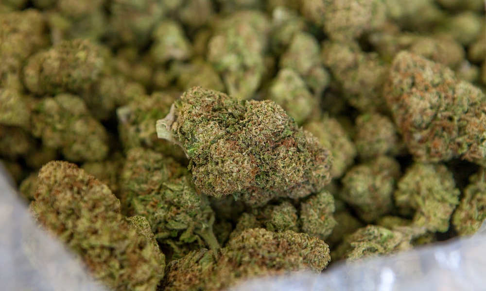 Buy Weed Online Legally And Have It Delivered To Your Doorstep